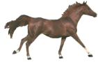 CHEVL